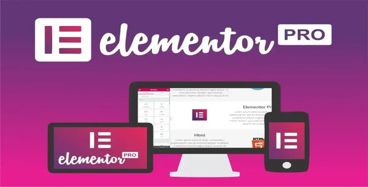 (Update Support) Elementor Pro - WordPress page builder Plugin
